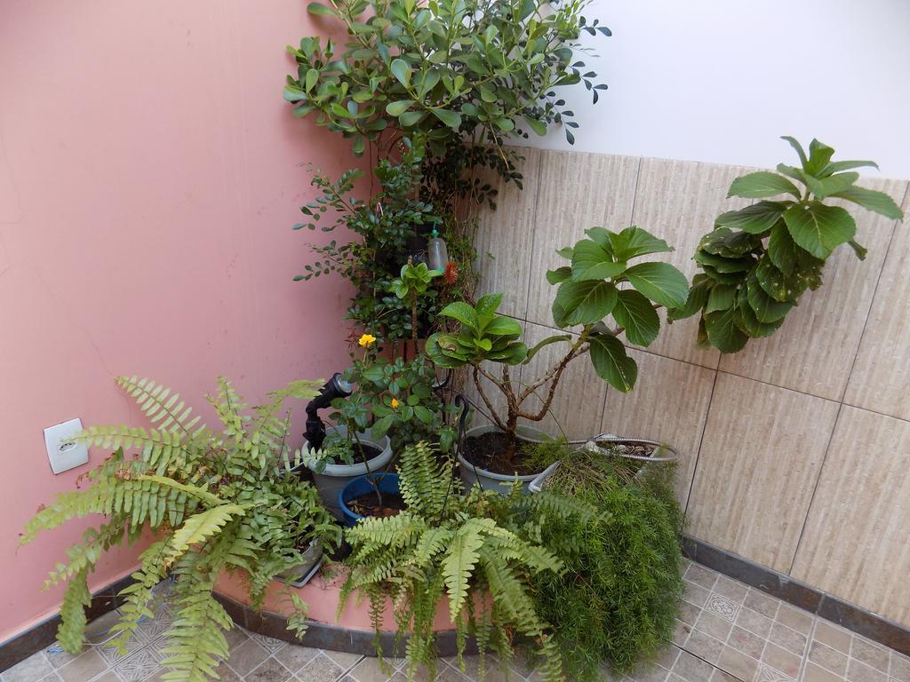 Albergue Rio Vermelho Salvador Kültér fotó